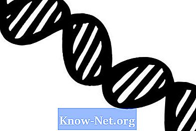 Zakaj se v testiranju DNK uporablja hladen alkohol?