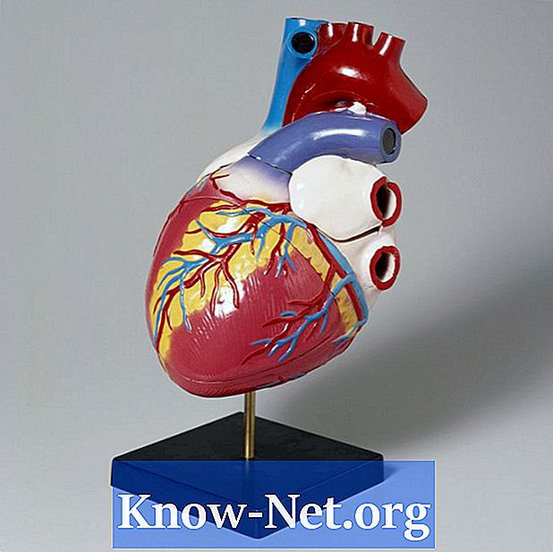 Kateri so vzroki za pogoste palpitacije srca