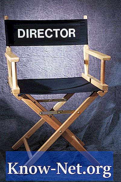 Was sind die Rollen eines Dokumentarfilmdirektors?