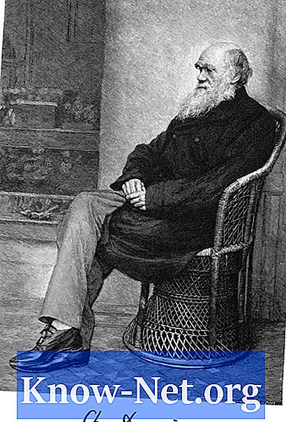 Was sind Darwins vier Hauptideen zur Evolution?