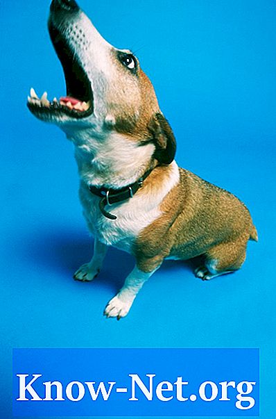 개가 짖는 소리를 멈추게하는 자연스러운 해결책은 무엇입니까?