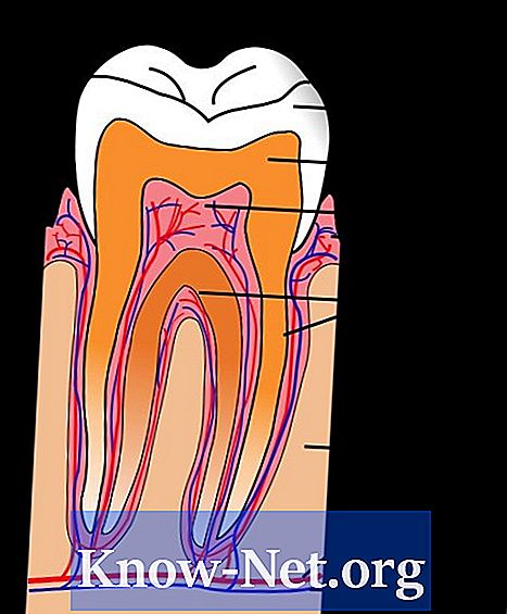 Vad är den mänskliga tandens kemiska sammansättning?