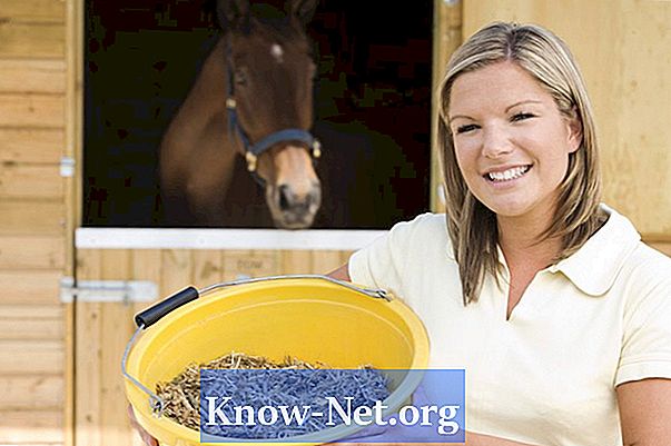 Как да се хранят коне със соево брашно