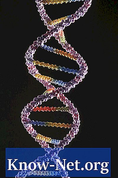 Katere materiale potrebujem za izdelavo modela DNK za znanstveni projekt?