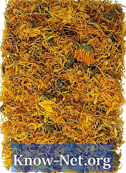 Kosmetiska användningar av saffron