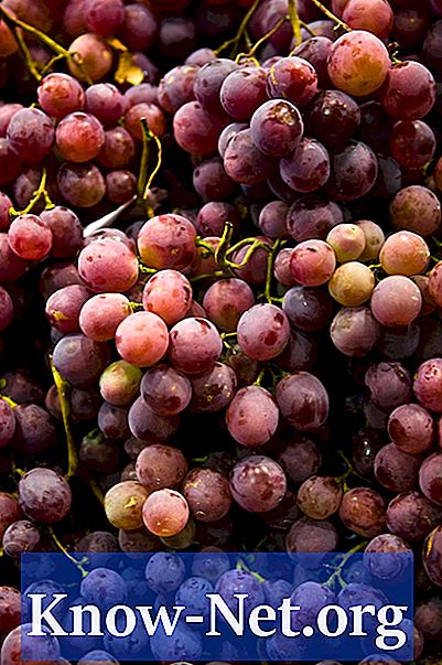 Признаки плохого качества на винограде