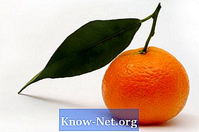 Grozdje mandarine, ki se goji v hiši
