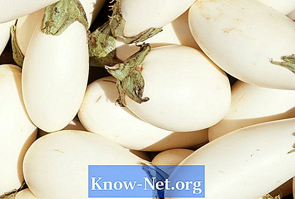 Pitkien valkoisten munakoisojen tyypit