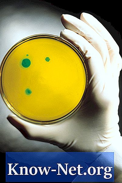 Gebruik van agar in de microbiologie als een stollingsmiddel