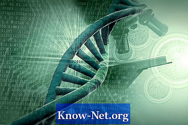 Vantagens e desvantagens do teste genético para pais