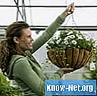 Hur man gör ett stativ för att hänga växter - Liv
