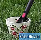 Come propagare una pianta di mandevilla