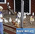 Kuidas kärbeste arvu vähendada oma kanamajas - Elu