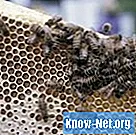 Hoe bijenwas uit kleding te verwijderen