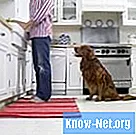 Hvordan fjerne hunden urin flekker på keramiske fliser