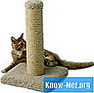 Hogyan cserélje ki a szizál kötelet egy macska kaparóoszlopban