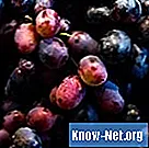 Jak uzyskać sok winogronowy z kolorowych tkanin