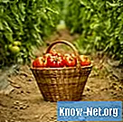Varför blommar vissa tomater men producerar inte frukt? - Liv
