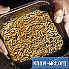 Domáce výrobky na zabíjanie lariev odpadkových košov - Život