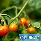 Remèdes à la maison pour la rouille de la tomate - La Vie