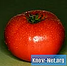 Natriumbikarbonaattisuihku tomaateille