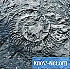 Како оживети фосиле у Покемон Емералд-у