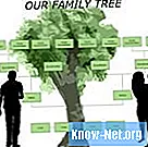 Cum să vă creați propriul arbore genealogic pe computer