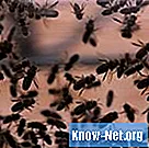 Hvordan avvise bier med tøymykner - Vitenskap