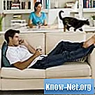 Hogyan kezeljük a székrekedést macskákban ricinusolajjal - Tudomány