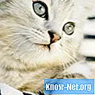 Hva skal jeg gjøre for å behandle en kattunge med spikrede øyne?