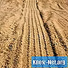 Kas var pasargāt augsni no erozijas?