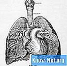 Varför har den högra lungan tre lober och den vänstra en två?