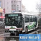 Kāds ir pilsētas autobusa standarta izmērs?