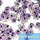 Λόγοι για υψηλά επίπεδα λευκοκυττάρων στο αίμα