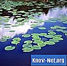 Меден сулфат за контрол на водните растения в езера