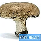 Typer svampe, der udvikler sig i afføring