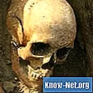 Az emberi koponyaformák típusai - Tudomány