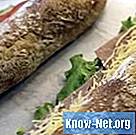 Formation d'artiste sandwich Subway - Science