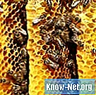 Cum se elimină petele de propolis