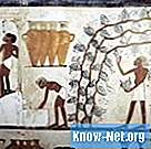 בדים וחומרים מסורתיים ממצרים - חַיִים