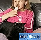 Hemmet för katter med täppt näsa - Liv