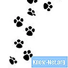 Ungiftige Tinten für Stempelabdrücke von Hundepfoten