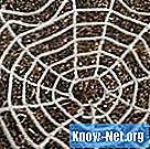 Cara membuat jaring laba-laba dengan tali dan simpul