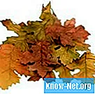 Как высушить осенние листья и сохранить их цвет