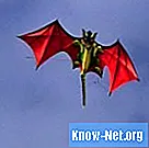 Di quali materiali hai bisogno per creare un aquilone del drago?