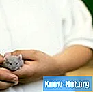 Cara merawat cacing di hamster