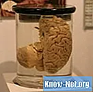뇌관류압이란 무엇입니까?