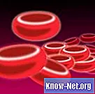 ¿Qué es la sangre periférica?