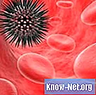 Hvad er årsagerne til lave blodproteinniveauer?