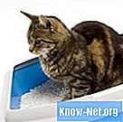 Које су опасности за мачку која једе хигијенски песак?